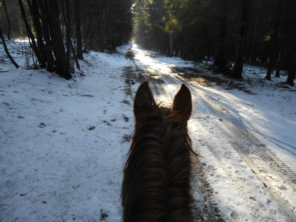 balade dans la neige - Copie