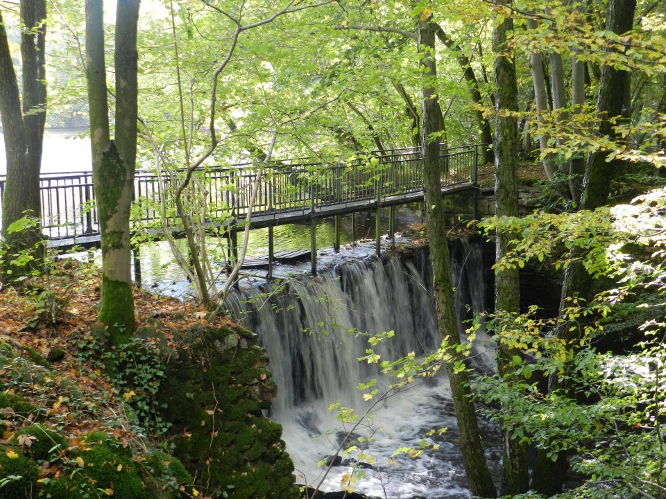 chute d'eau étang de la Forge - Copie