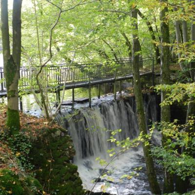 chute d'eau étang de la Forge - Copie